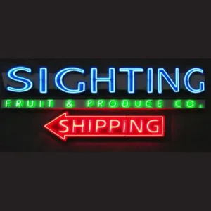 Large Neon Signs RGB